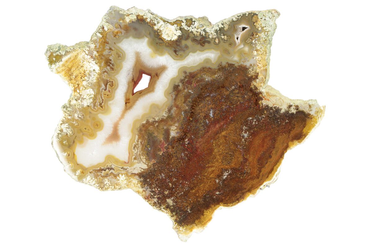 8.7" Polished White Rock Springs Agate Slab - Oregon