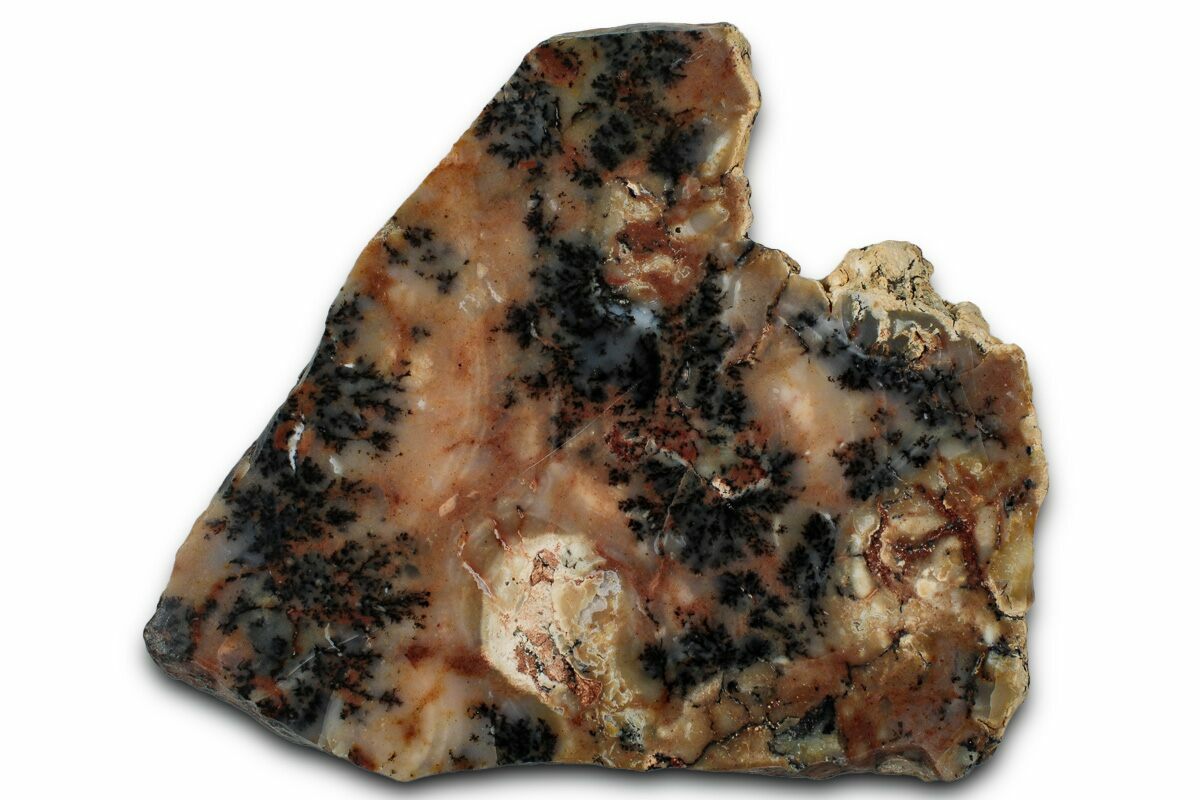 5.85" Polished Wanong Dendritic Opal Slab - Western Australia