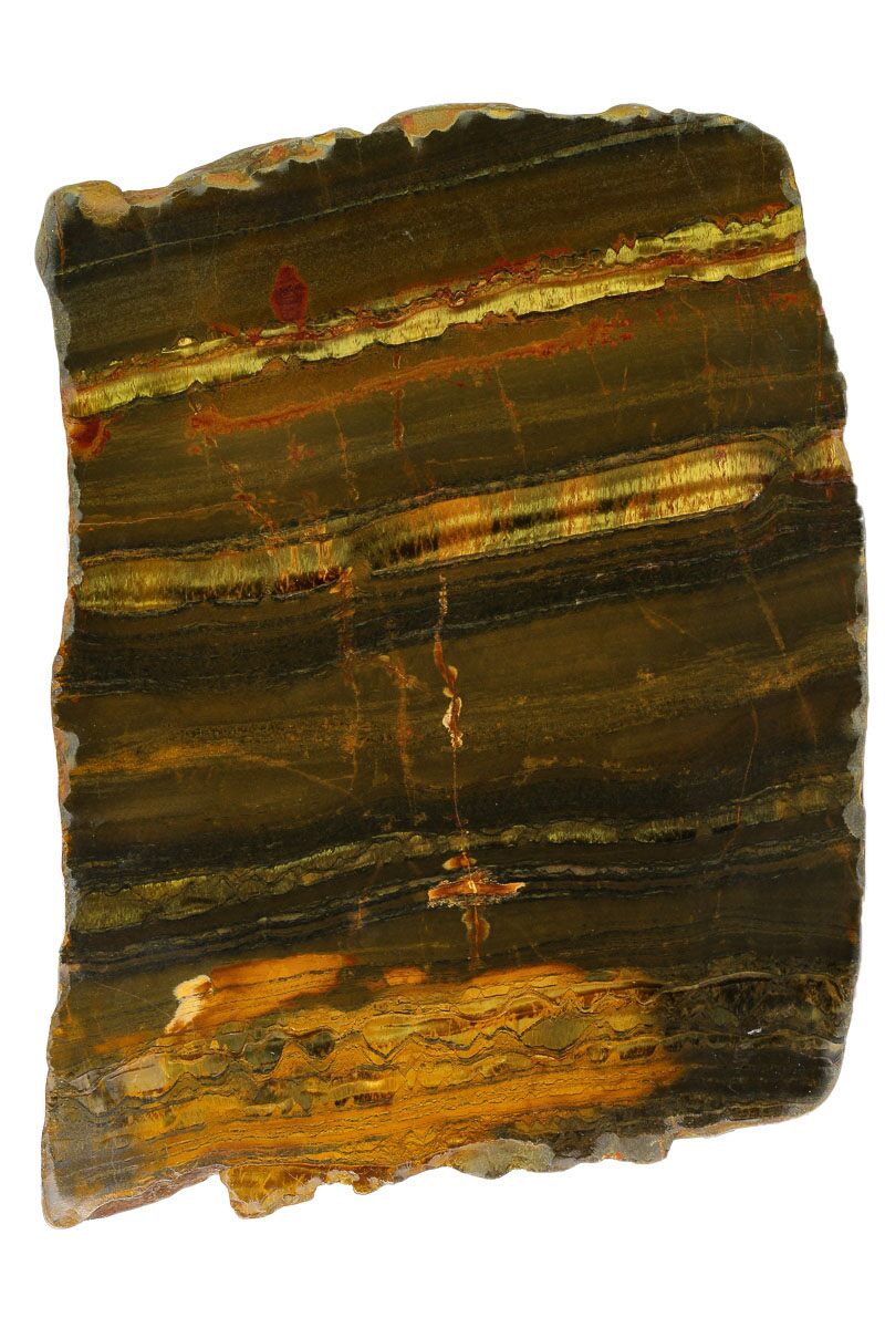 9.1" Polished "Packsaddle" Tiger Eye Slab - Western Australia