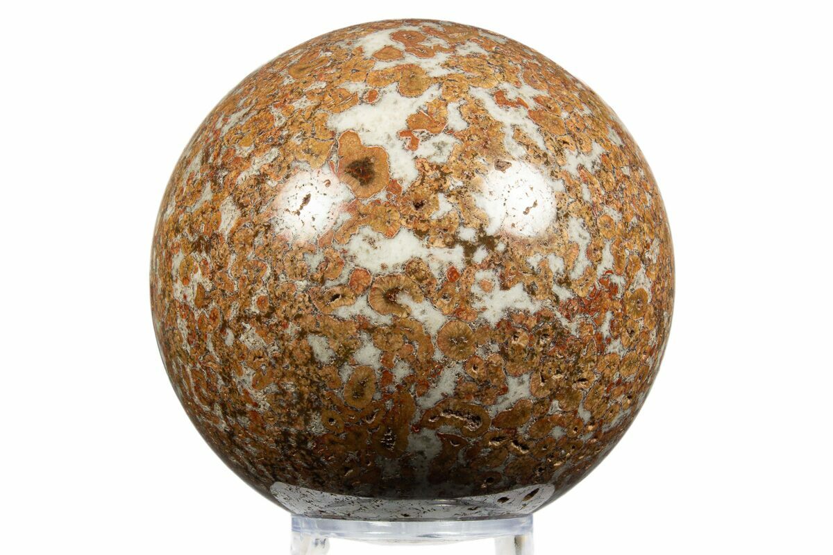 3.8" Polished Red Flower Marble Sphere - India