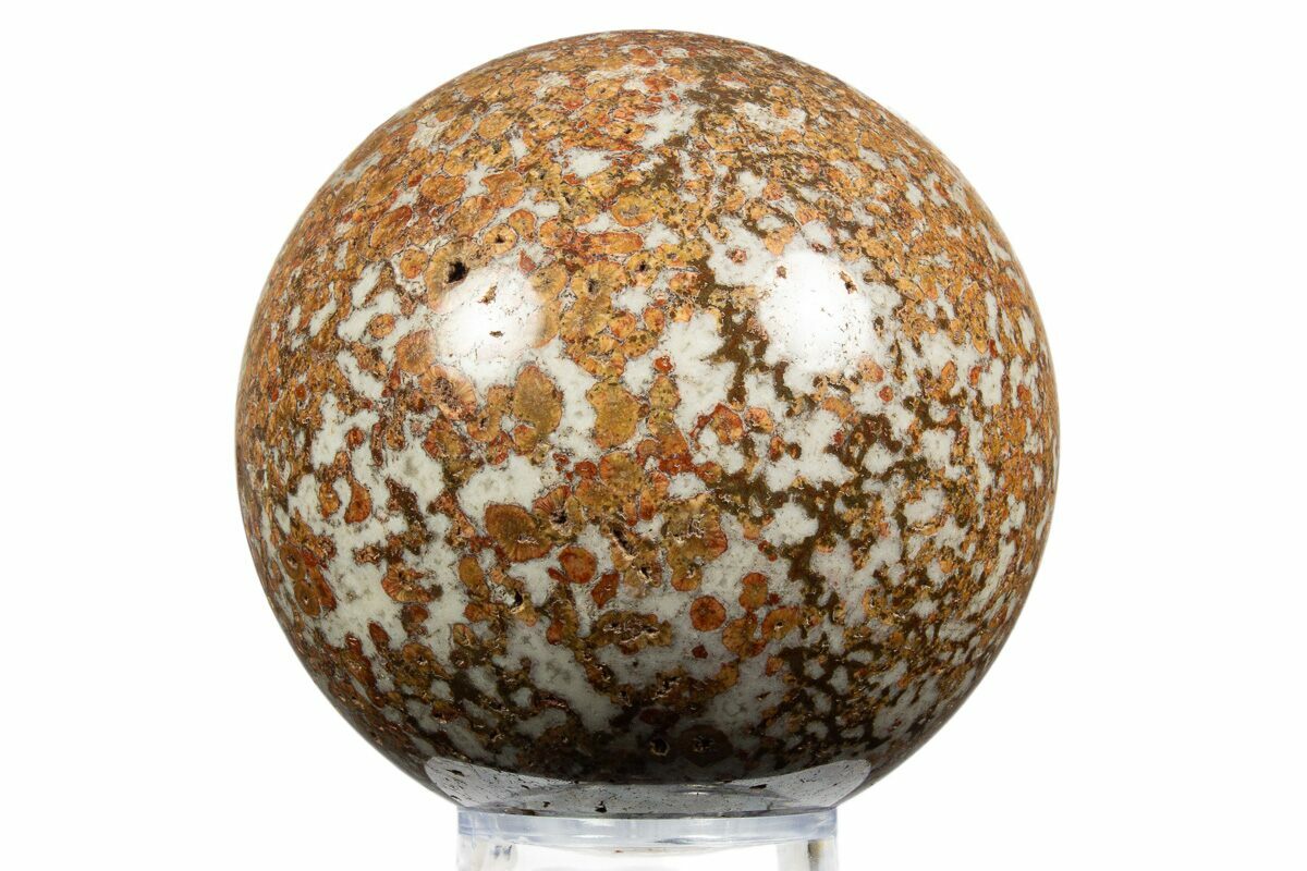 3.8" Polished Red Flower Marble Sphere - India