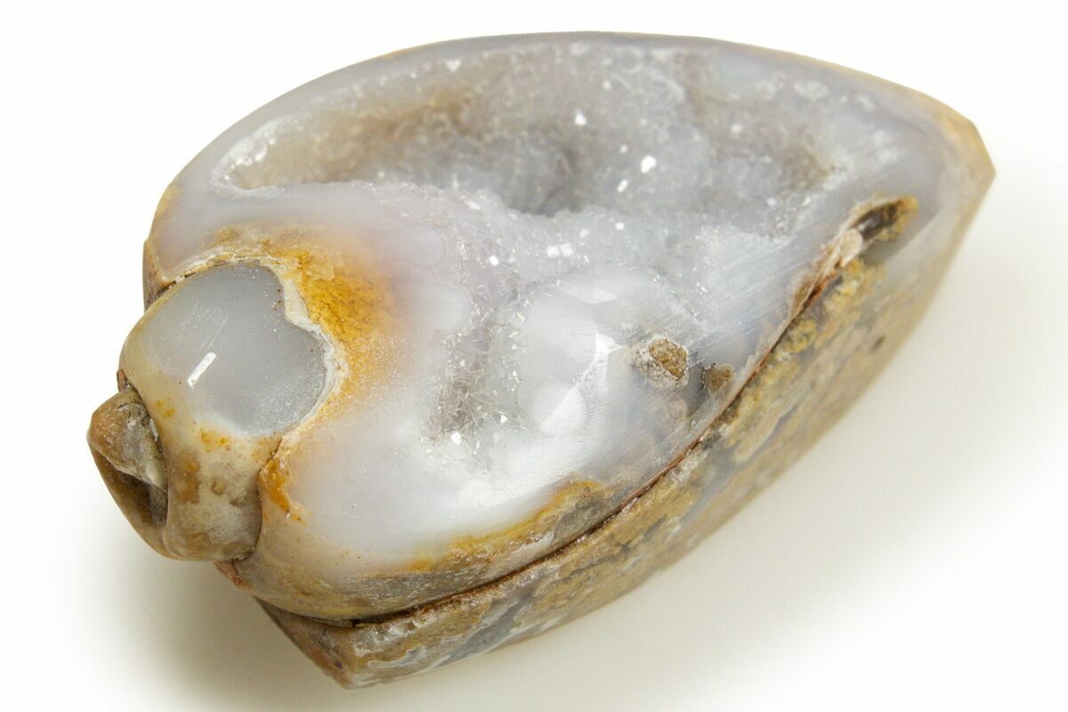1.3" Chalcedony Replaced Gastropod With Sparkly Quartz - India
