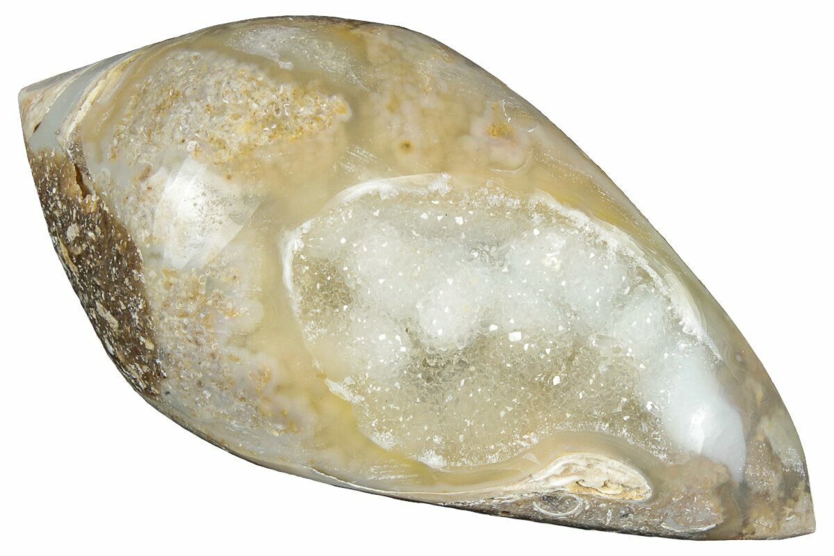 1.85" Chalcedony Replaced Gastropod With Sparkly Quartz - India