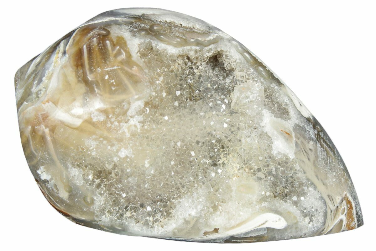 1.7" Chalcedony Replaced Gastropod With Sparkly Quartz - India