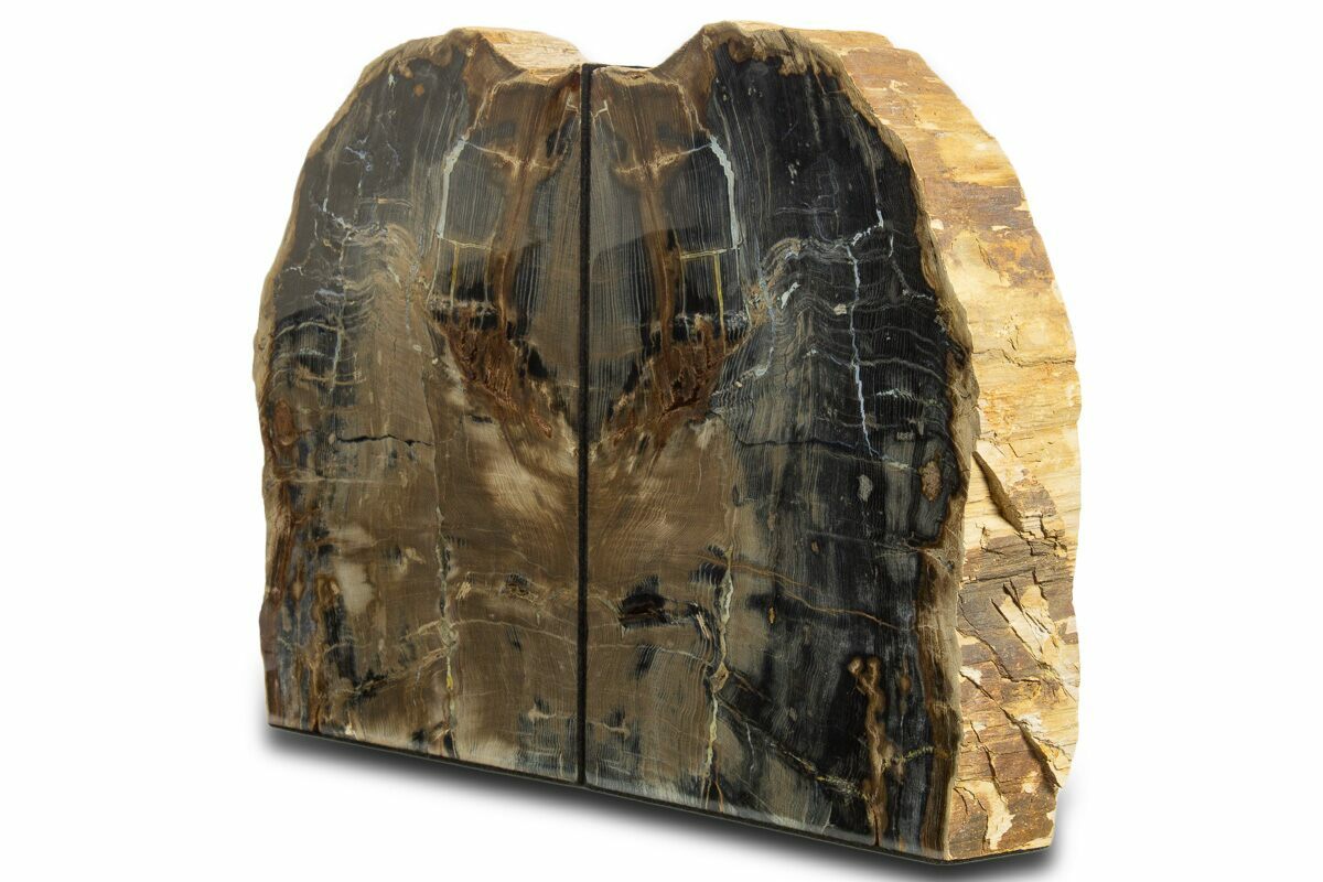 10.3" Tall Petrified Wood Bookends - Sweet Home, Oregon