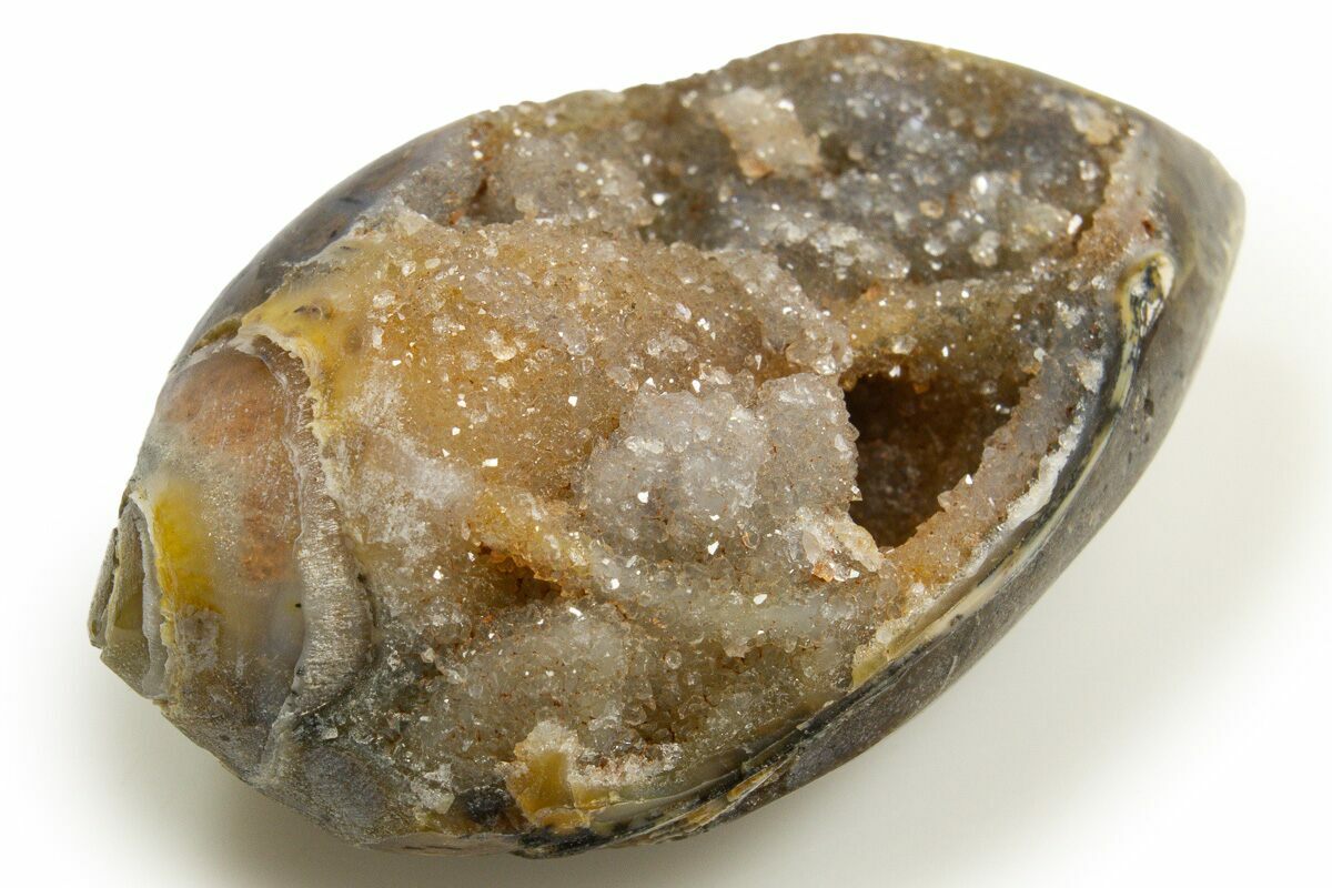 1.7" Chalcedony Replaced Gastropod With Sparkly Quartz - India