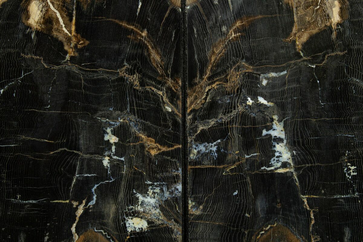 8.4" Tall, Petrified Wood Bookends - Sweet Home, Oregon