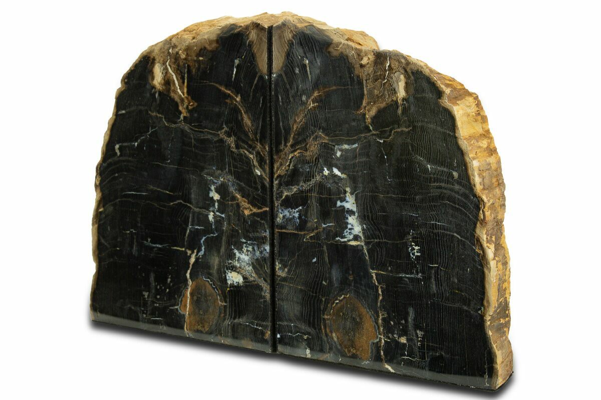 8.4" Tall, Petrified Wood Bookends - Sweet Home, Oregon