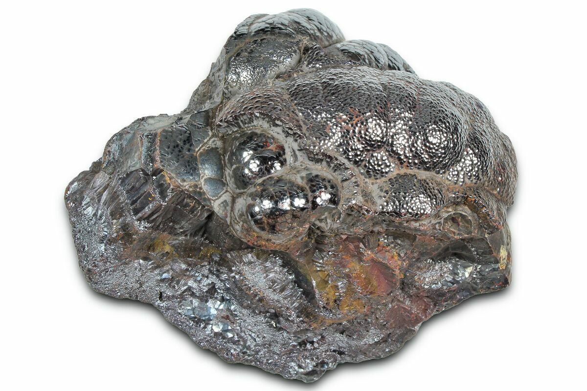 2.55" Kidney Ore (Botryoidal Hematite) - Morocco