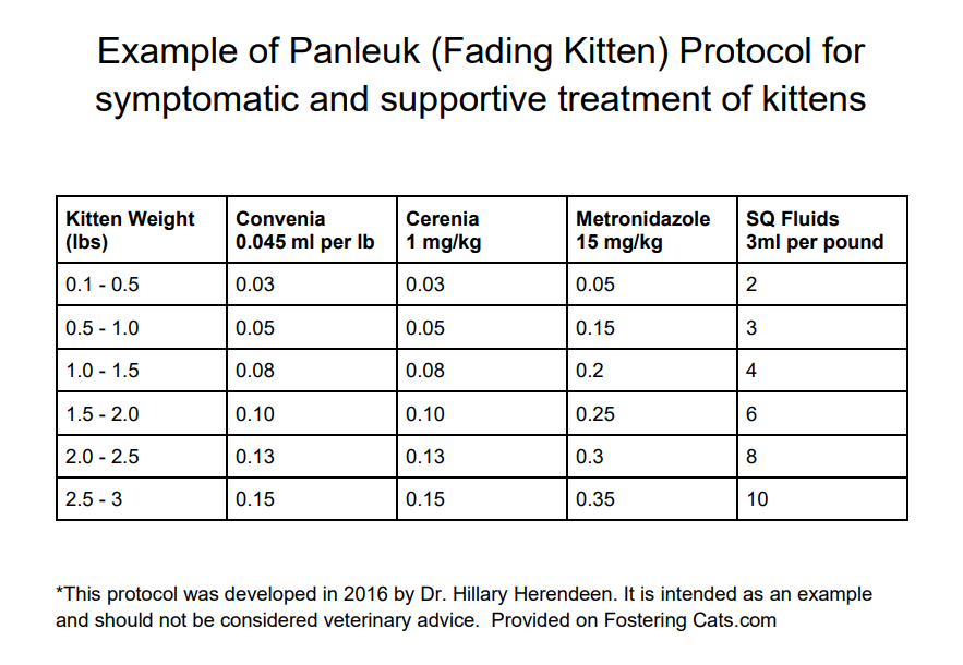 cat upper respiratory infection abd b12 injection Feline (URI) B12 for cats handbrake