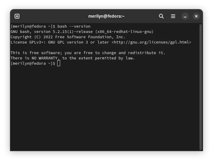 [Quick 'Fix'] Text Always Highlighted after Pasting into Linux Terminal ...