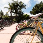 University of California, Santa Barbara by Fotility Photography & Videography