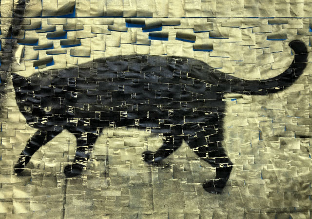 Yalova Merkez Icinde Ikinci El Satilik Bir Kedi Gordum Sank