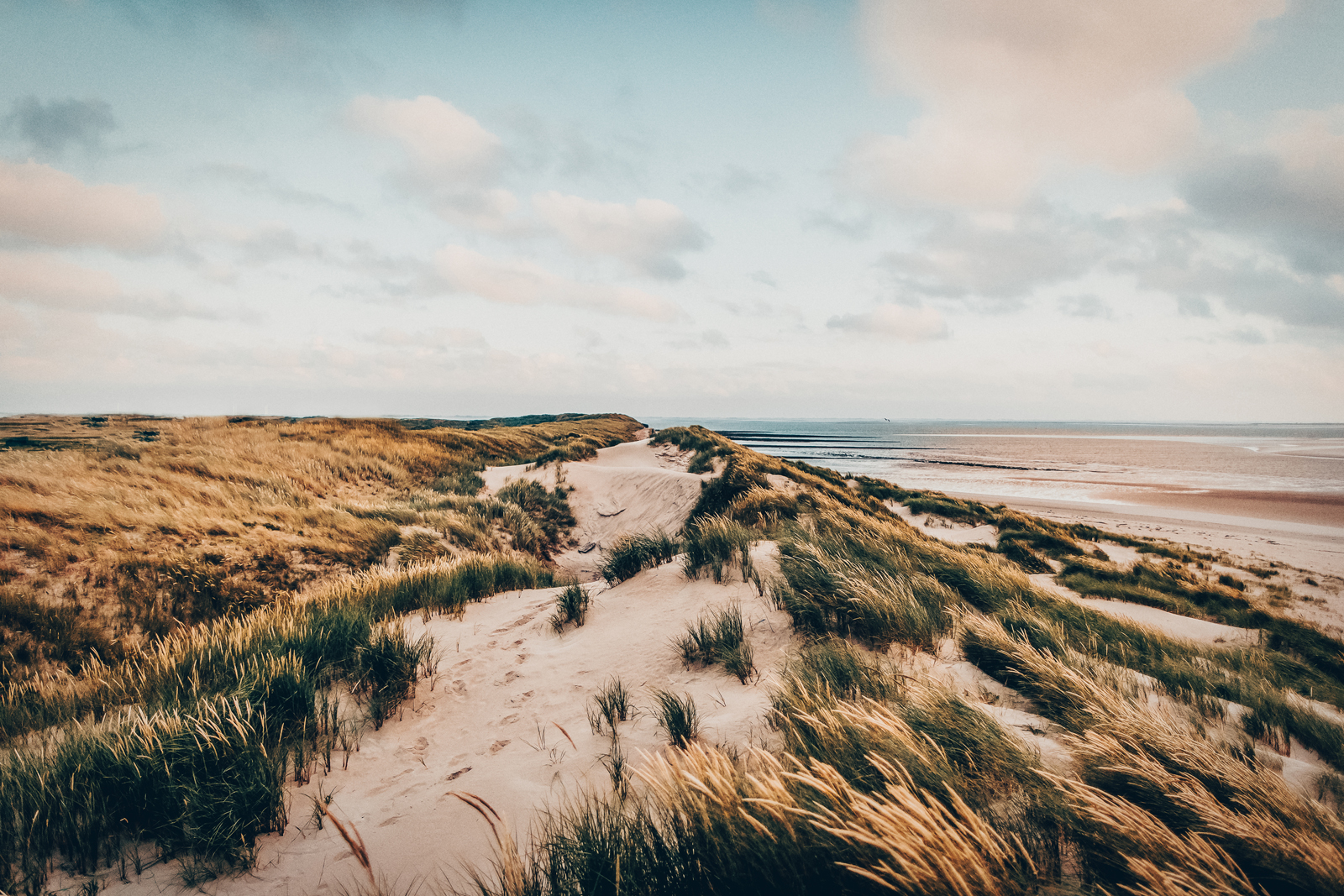 Some weeks ago at the wonderful island of spiekeroog