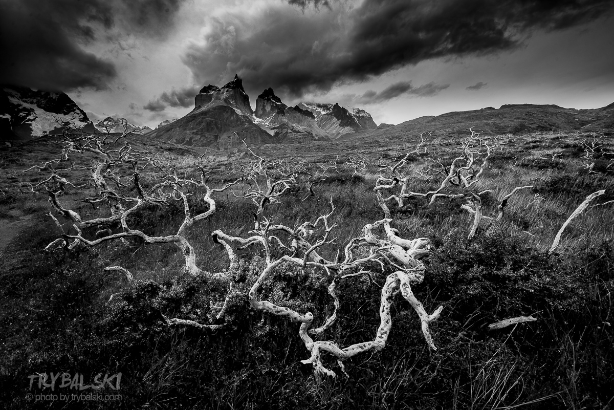 Warsztaty fotograficzne w Patagonii