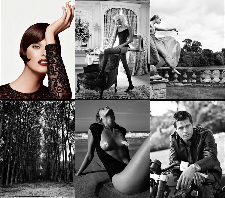A screenshot of Patrick Demarchelier's Instagram feed. (Fotophile.com)