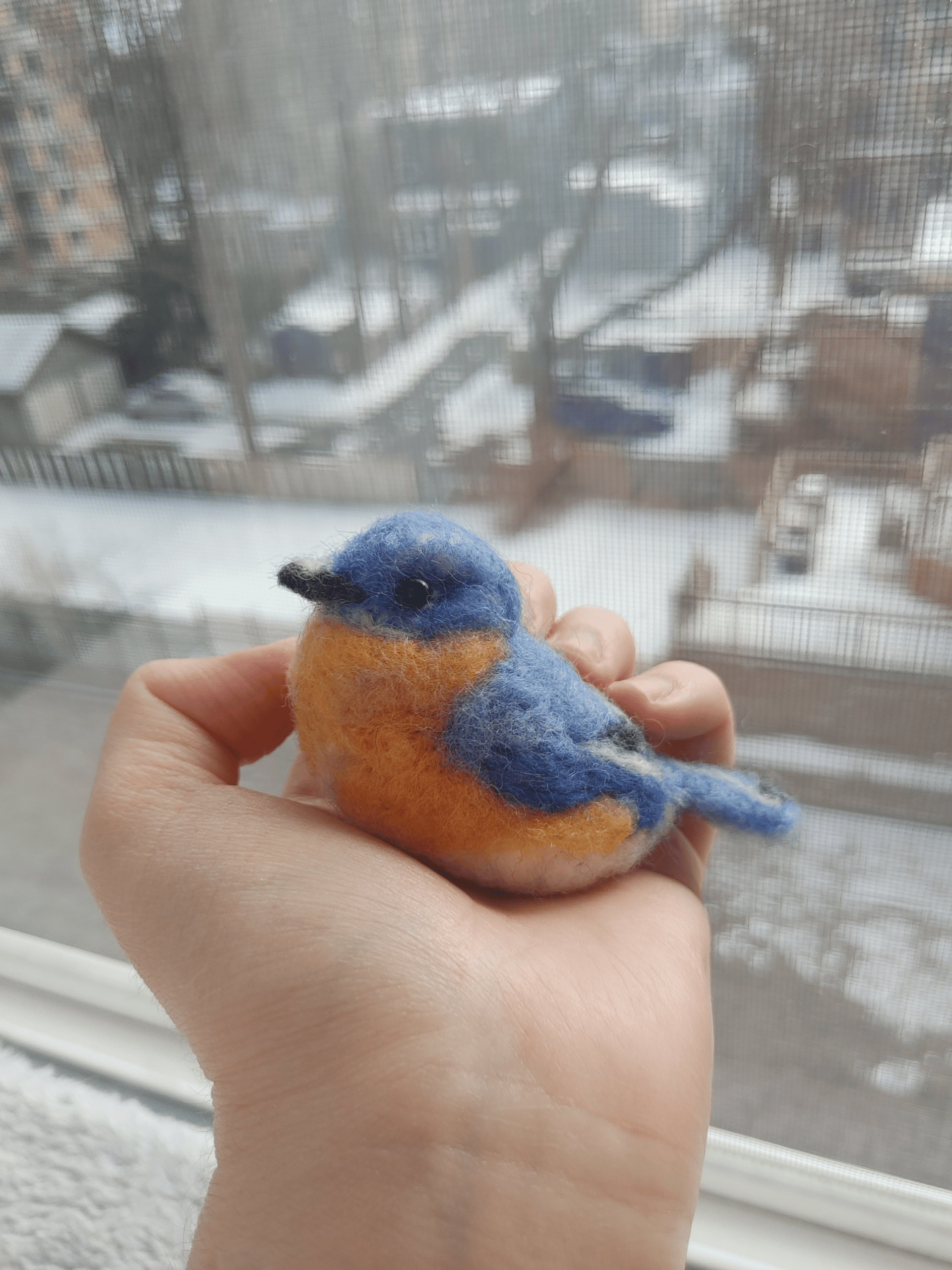 Felt_Bird_A1