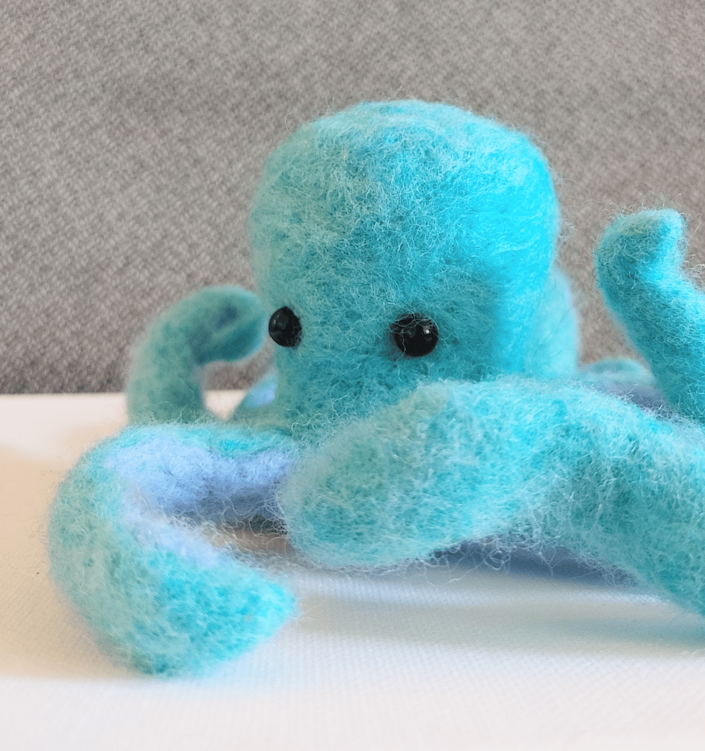 Felt_Octopus_C1.webp