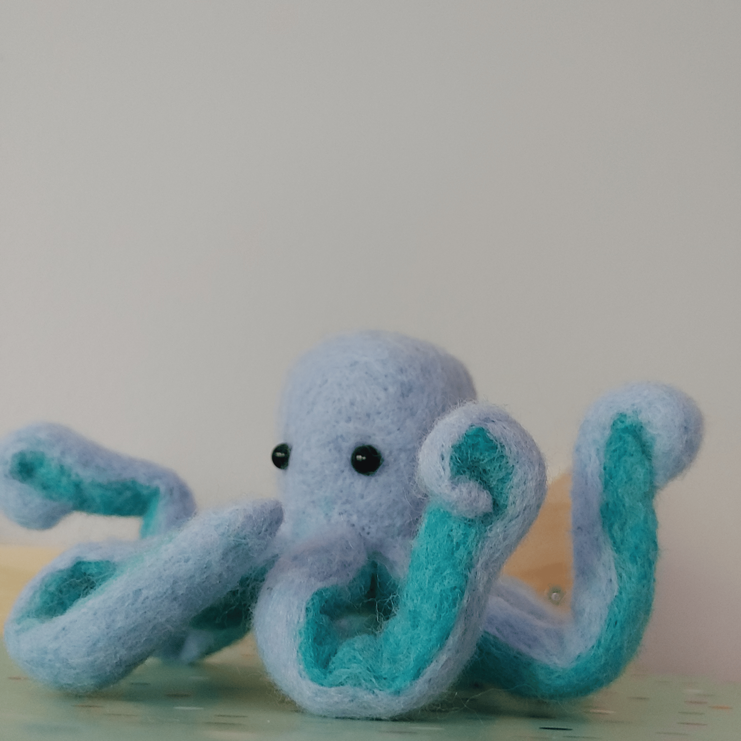 Felt_Octopus_C10.webp