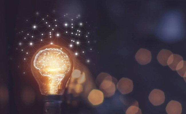 Our Amazing, Changing, Brain - Foundations Cognitive Schools