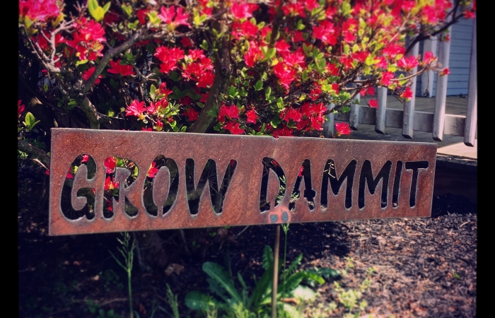 Grow Dammit Garden Stake Funny Sign