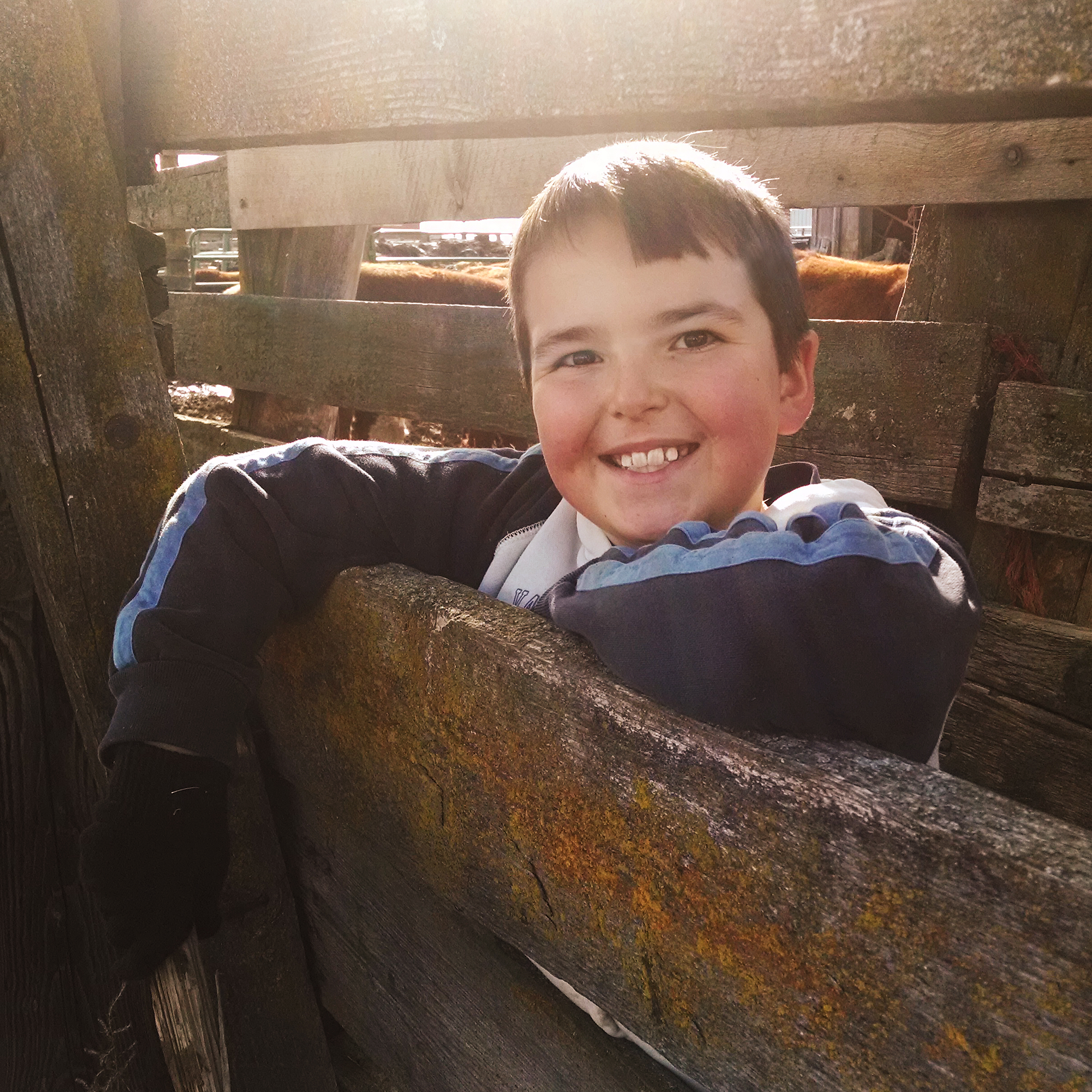 Ronnie helping work cattle