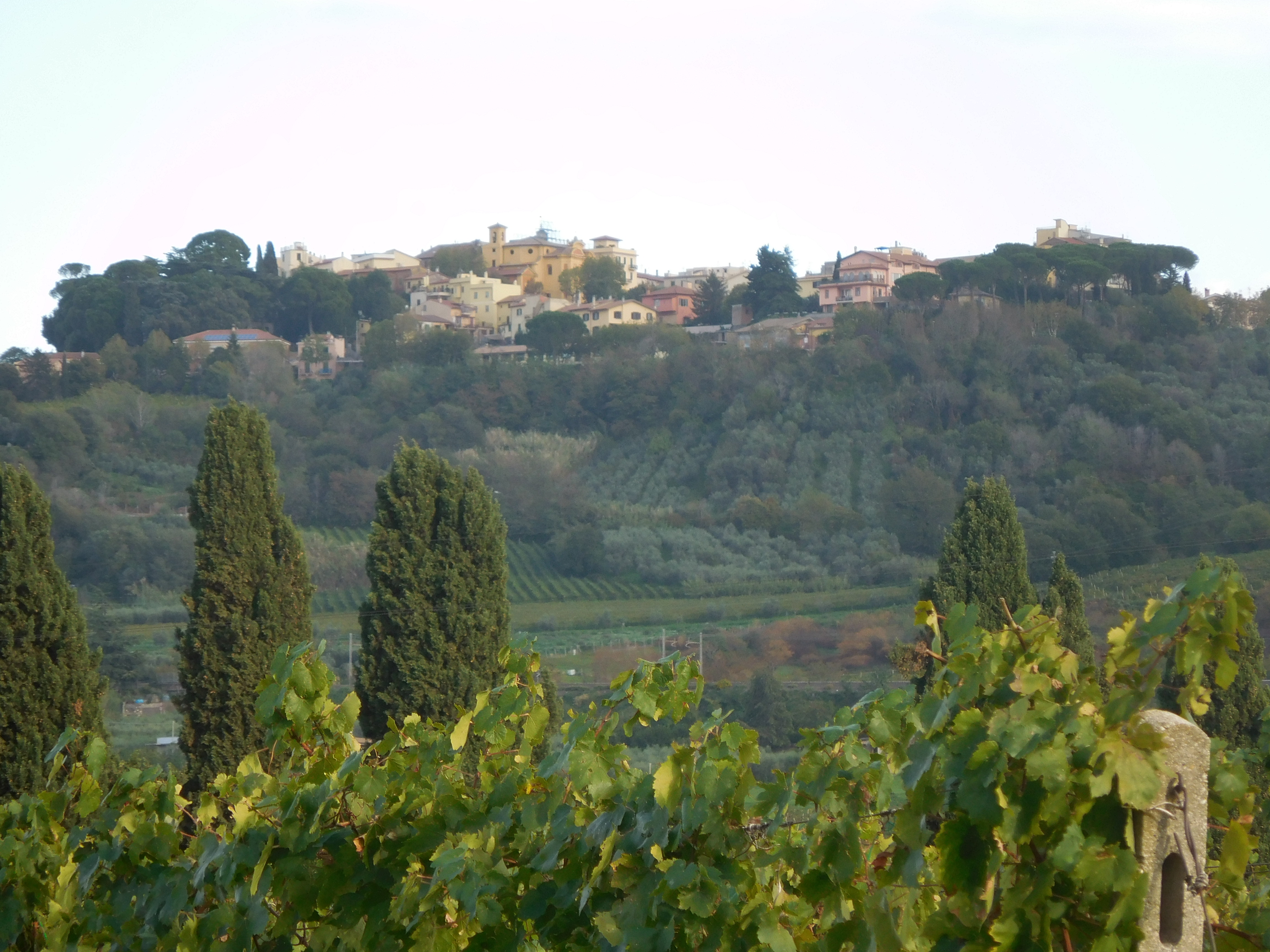 DSCN0902