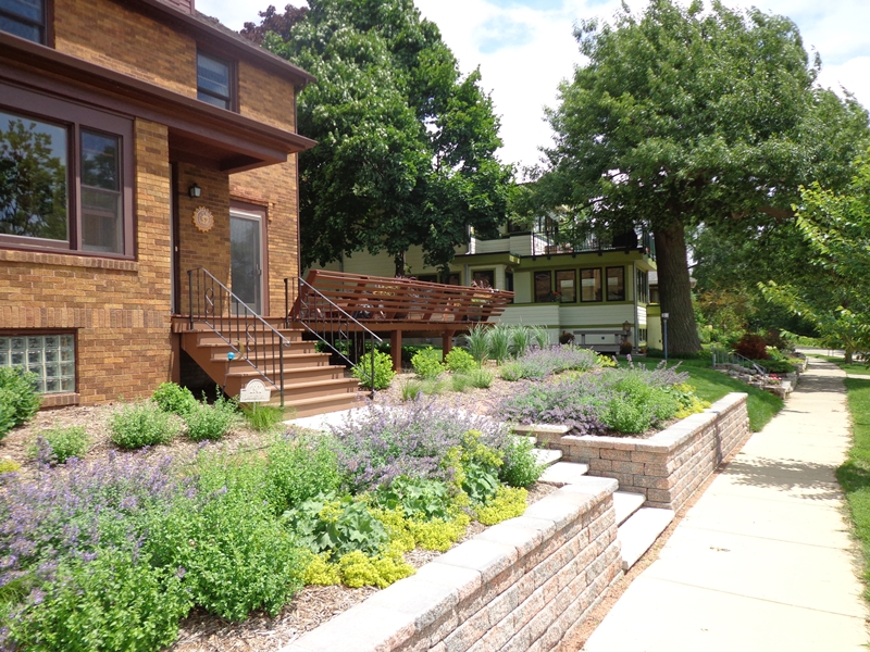 Landscape renovation with perennial focus