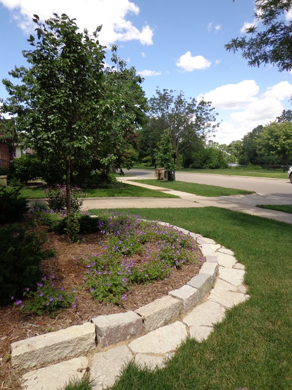 Front yard landscape renovation