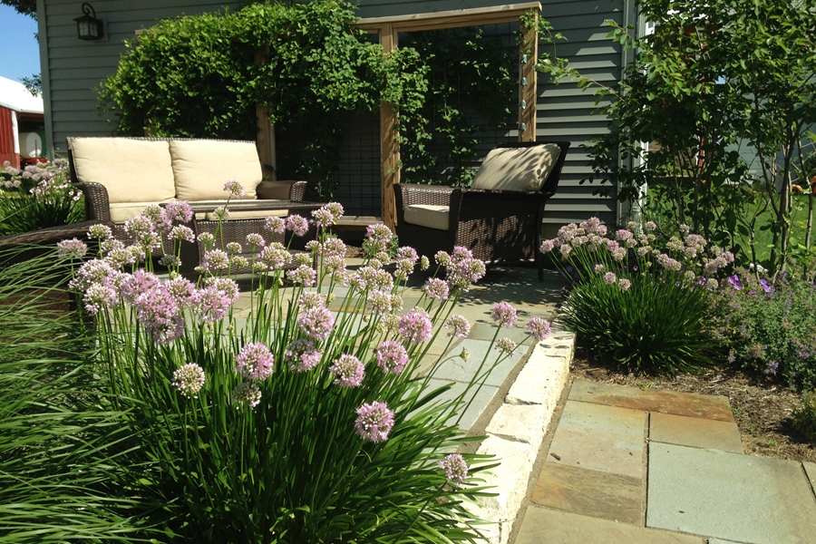 perennials soften patio