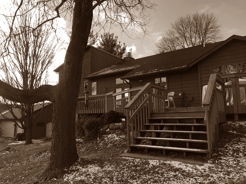 Deforest Descent Before