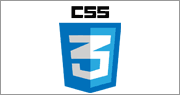 CSS3 Logo