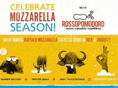 Design Image Mozzarella