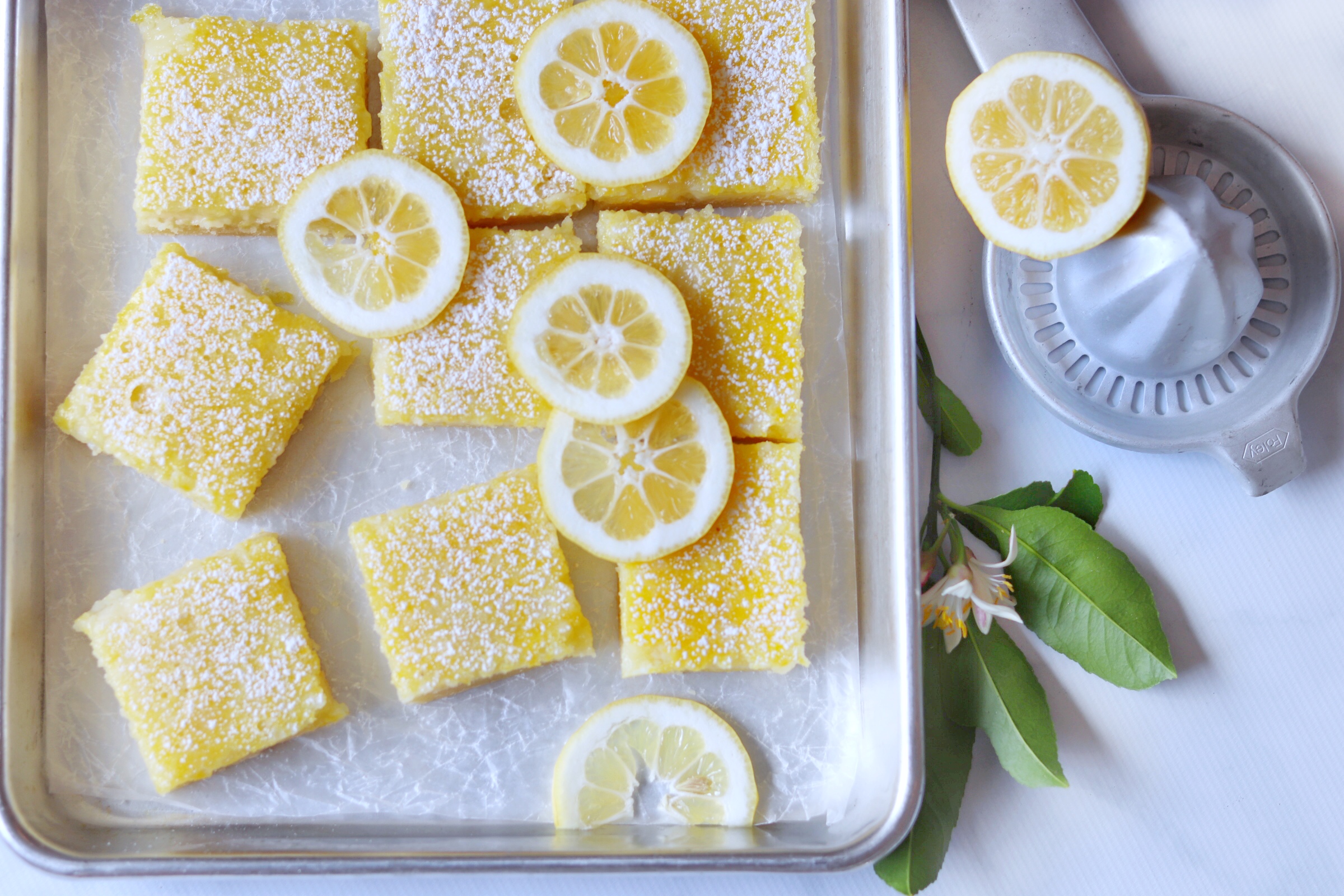 Bright, yellow lemon bars in a baking tray with citrus rounds