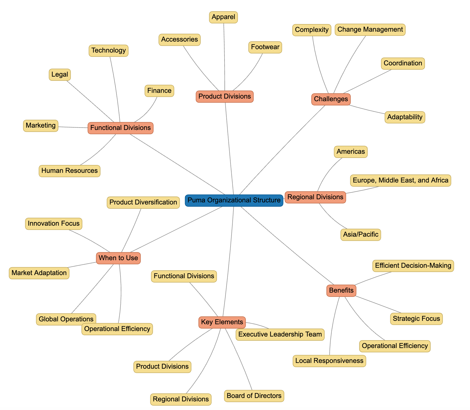 Puma Organizational Structure - FourWeekMBA