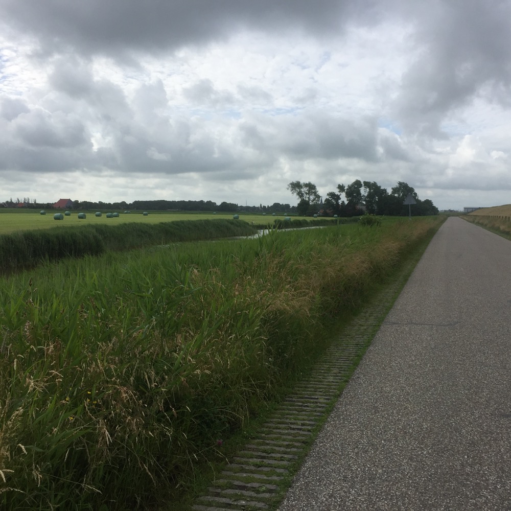 veld naast weg