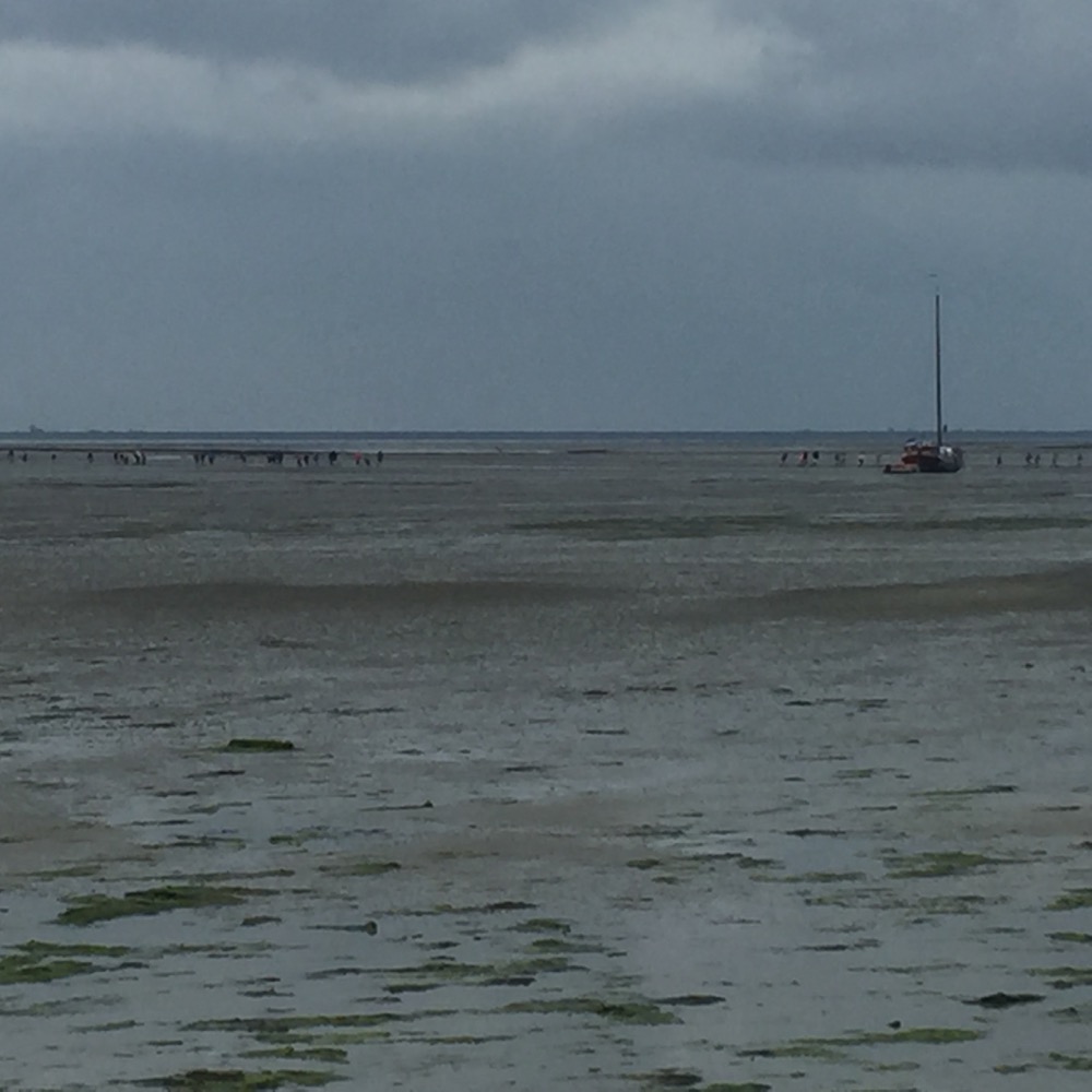 wandeling op de wadden zeebodem