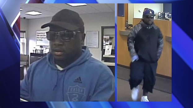 050616 Robber Fox News Video - Premium Nature Photo Gallery - Retina