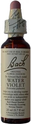 Water Violet Bach Flower Remedy 20 ml