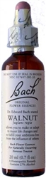 Walnut Bach Flower Remedy 20 ml