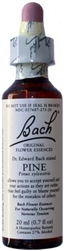 Pine Bach Flower Remedy 20 ml