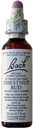 Chestnut Bud Bach Flower Remedy 20 ml