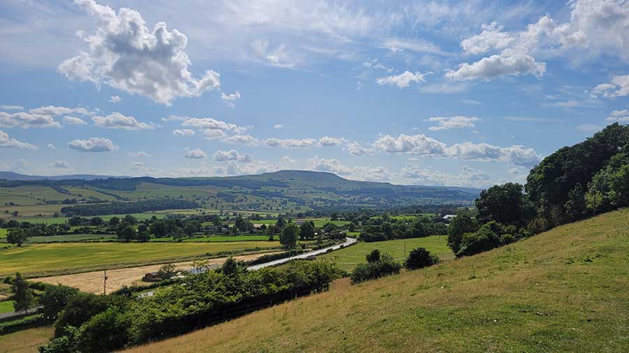 Yorkshire weekend at the Fox