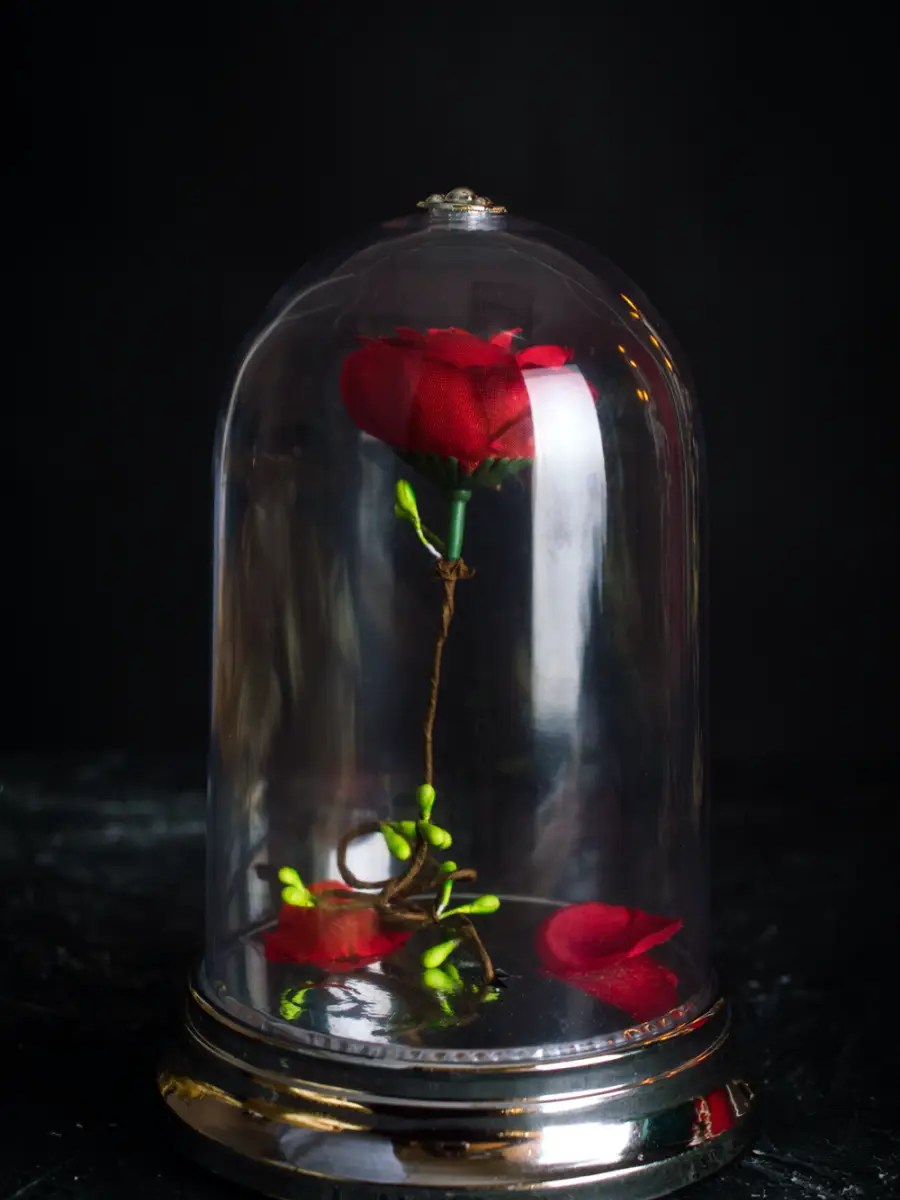 Rose in glass container