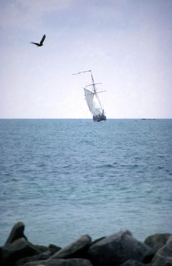 Florida Memory Tall Ship Replica Providence Sailing By Key West