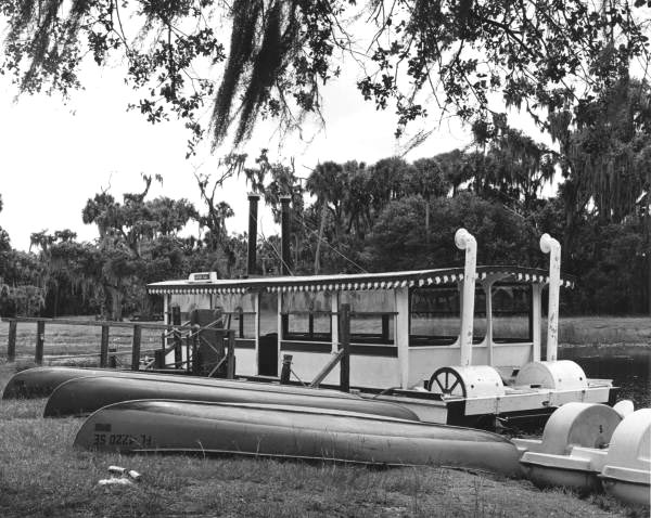 Florida Memory Tour And Rental Boats At Myakka River State Park