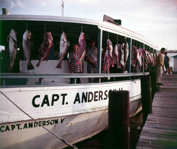 Florida Memory Party Fishing Boat Capt Anderson V At Panama