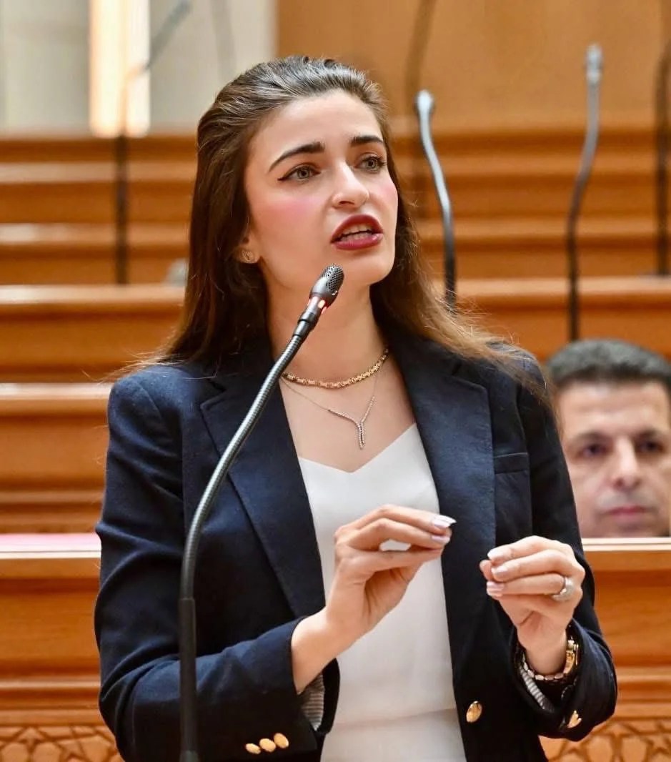 النائبة ايرين سعيد عضو مجلس النواب