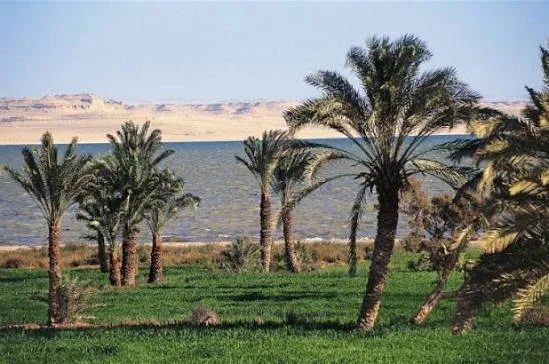 الفيوم