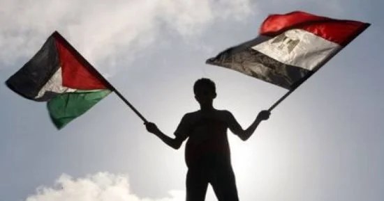 منظمة التحرير الفلسطينية تثمن الدعم المصري المستمر للشعب الفلسطيني